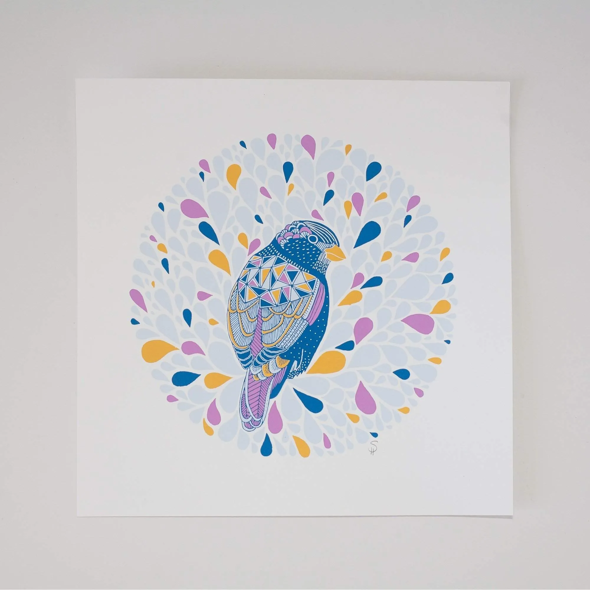 bird art print, colorful bird, bird nerd art print