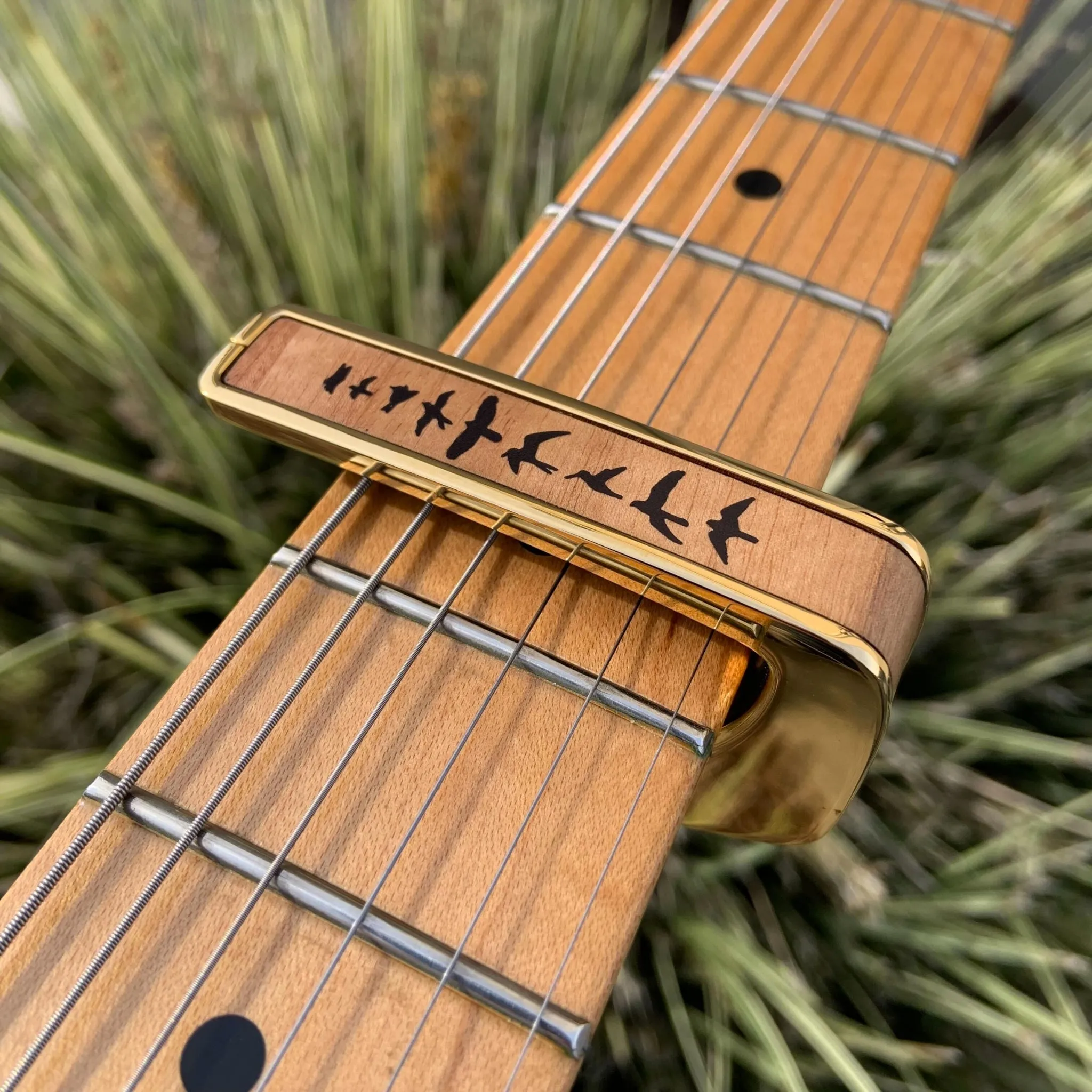 Flamed Maple Birds | Deluxe Capo