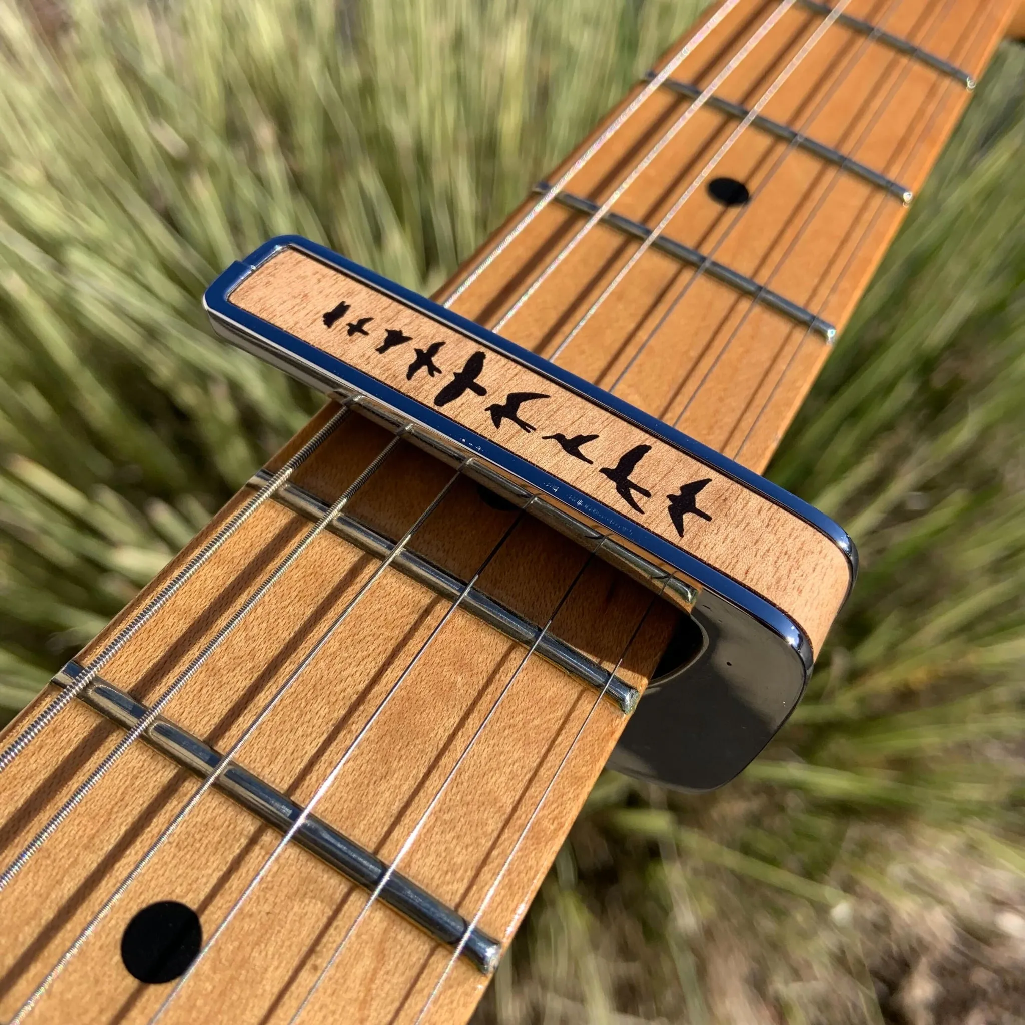 Flamed Maple Birds | Deluxe Capo